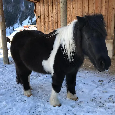 Apartament Pony-ziegen-hasen-ranch *