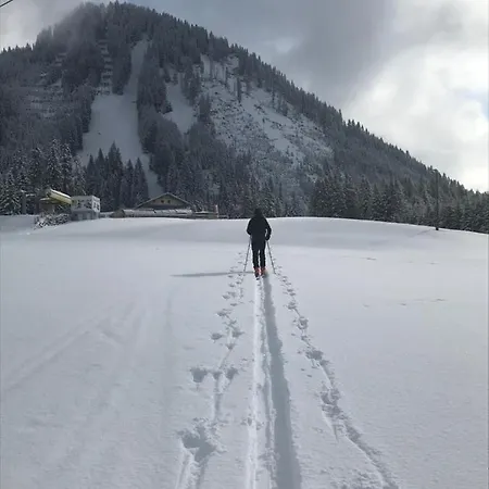 Pony-ziegen-hasen-ranch *