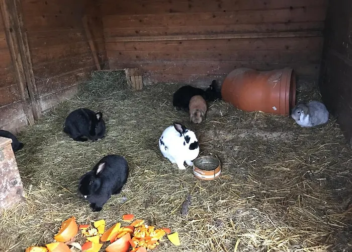 Pony-ziegen-hasen-ranch Apartman *