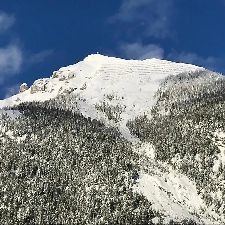 Pony-ziegen-hasen-ranch Daire