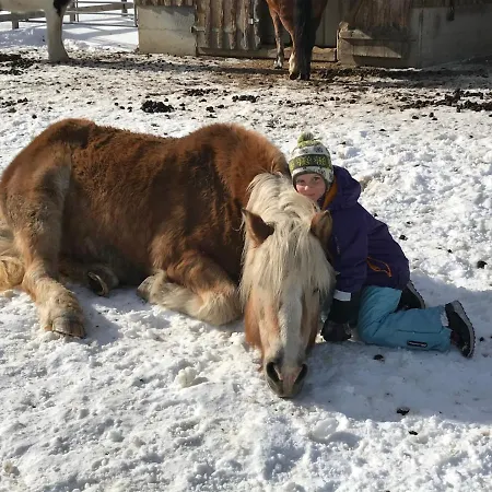 Pony-ziegen-hasen-ranch * Bichlbach