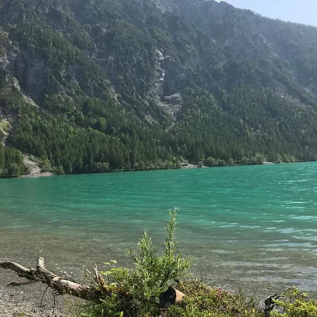 Pony-ziegen-hasen-ranch