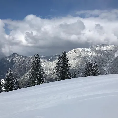 Pony-ziegen-hasen-ranch