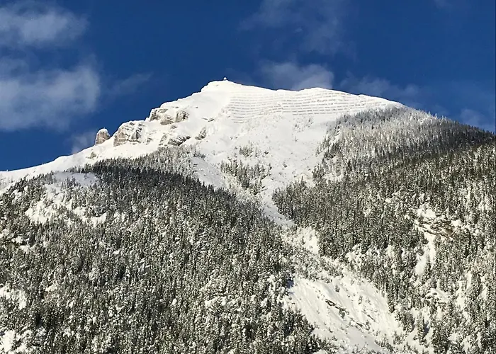 Pony-ziegen-hasen-ranch Lägenhet