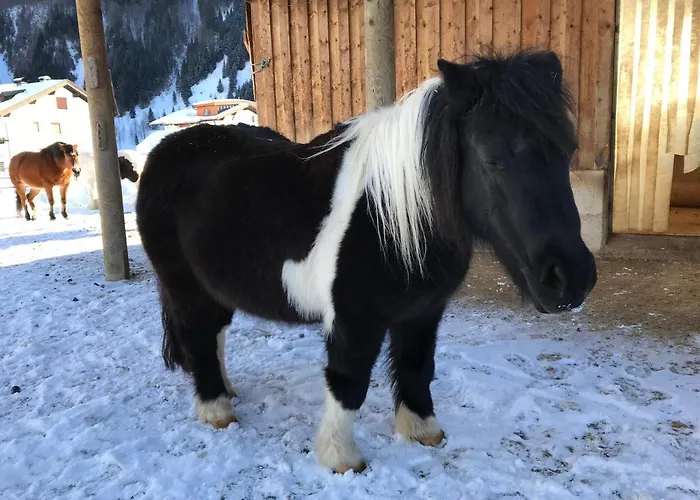 Lägenhet Pony-ziegen-hasen-ranch *
