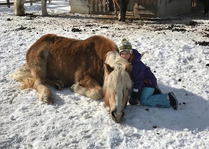 Pony-ziegen-hasen-ranch * Bichlbach