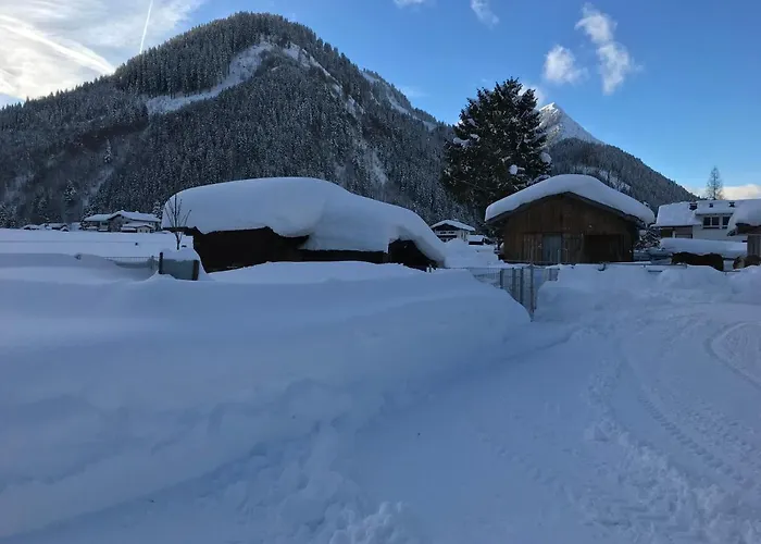 Pony-ziegen-hasen-ranch * Bichlbach