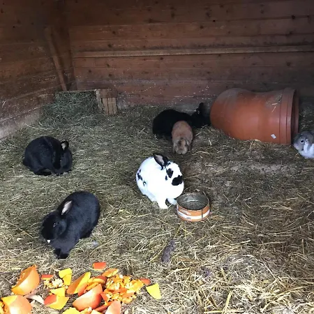 Pony-ziegen-hasen-ranch Apartamento *