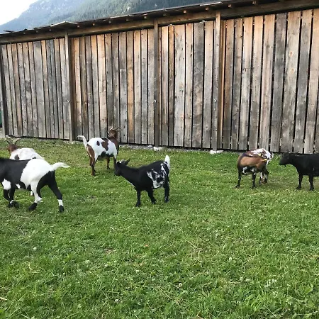 Apartment Pony-ziegen-hasen-ranch