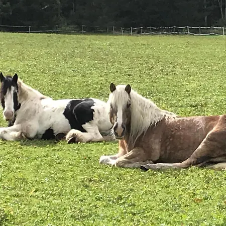 Pony-ziegen-hasen-ranch Apartment Bichlbach